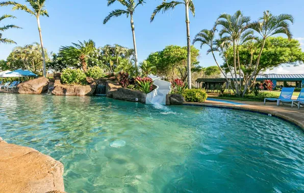 Пальмы, бассейн, Гавайи, курорт, Hawaii, Kauai, Kiahuna Plantation resort, Poipu Beach