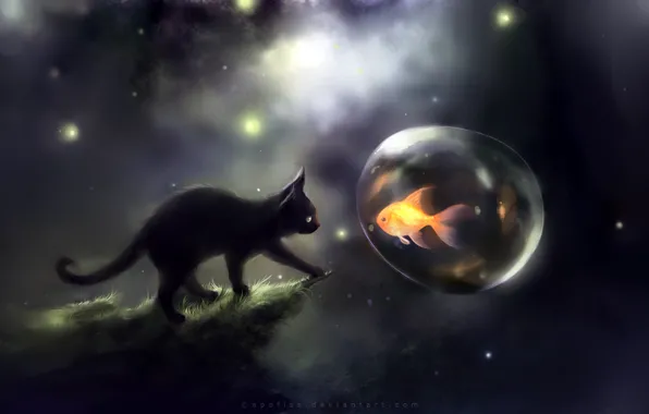 Картинка кот, пузырь, apofiss, апофис
