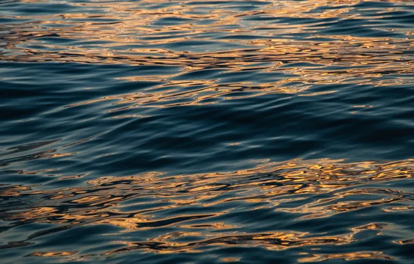 Картинка море, волны, водная гладь, отражение солнца