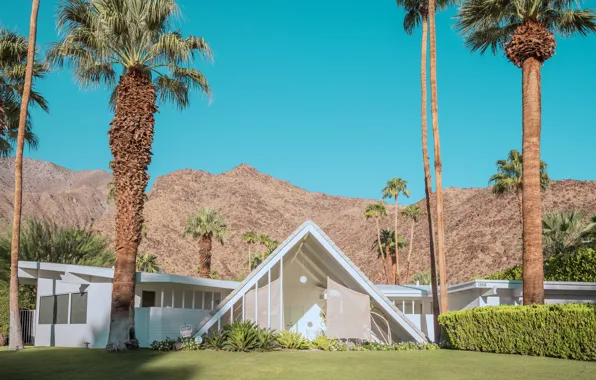 Трава, горы, пальмы, строения, PALM SPRINGS DESERT HOUSES