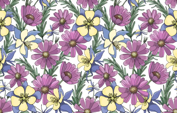 Цветы, фон, vector, yellow, blue, flowers, garden, purple