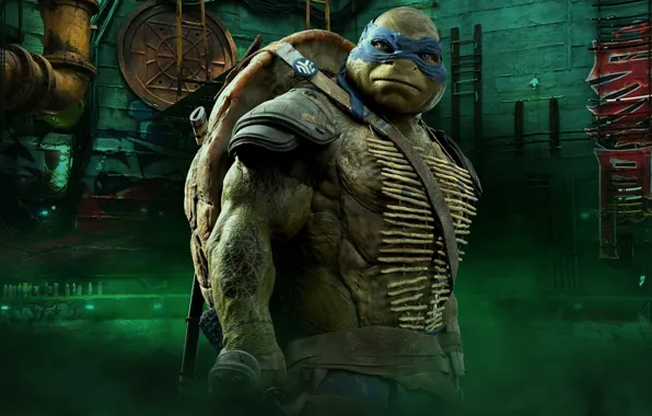 Cinema, TMNT, Leonardo, movie, Teenage Mutant Ninja Turtles, ninja, hero, film