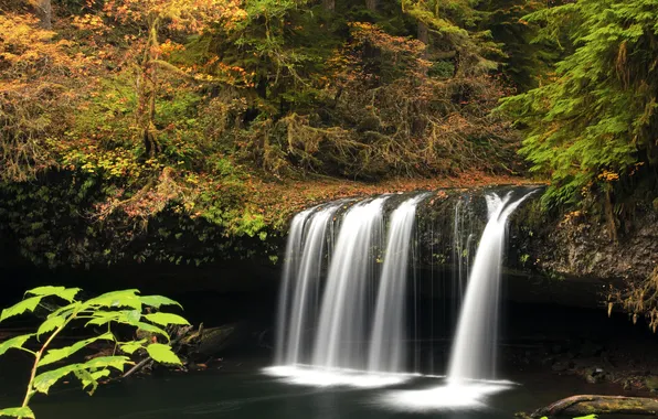 Осень, лес, водопад, США, Oregon, Upper Butte Creek Falls