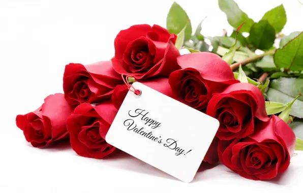 Картинка цветы, розы, букет, красные, red, Valentine`s day, roses