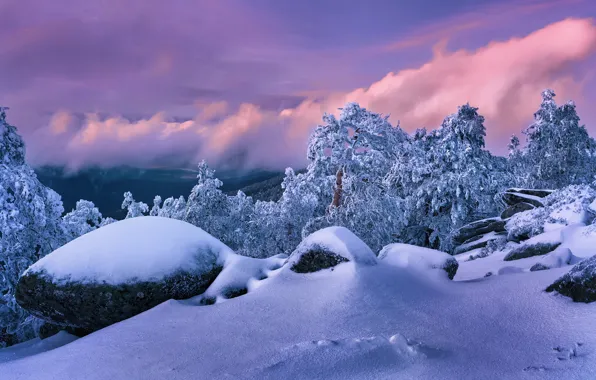 Картинка зима, снег, деревья, закат, камни, сугробы, Испания, Spain