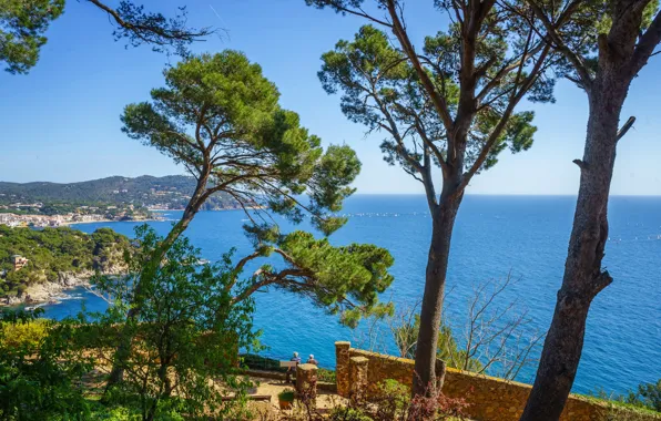Море, солнце, деревья, побережье, горизонт, Испания, Costa Brava, Коста-Брава