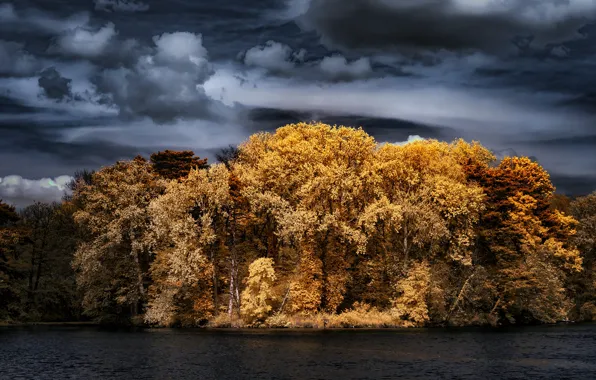 Осень, лес, небо, деревья, тучи, природа, река, берег
