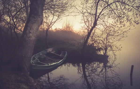 Картинка туман, озеро, отражение, дерево, рассвет, ветви, лодка, зеркало