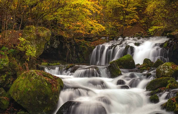 Картинка осень, лес, река, камни, водопад, мох, Япония, панорама