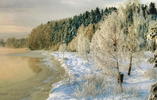 Картинка зима, снег, деревья, природа, река, фото, побережье