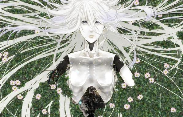 Картинка девушка, цветы, провода, робот, арт, андроид, белые волосы, hitaki azami