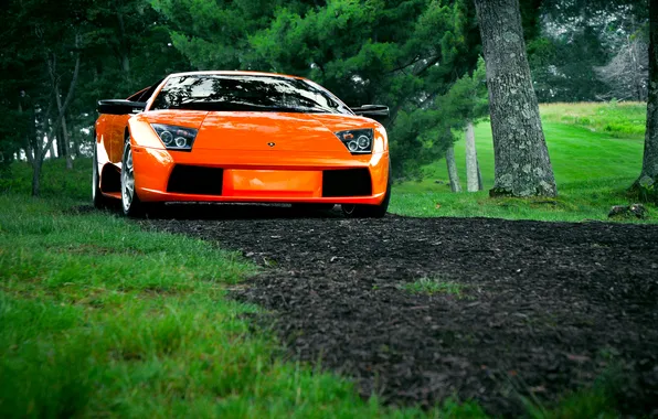 Картинка Lamborghini, Orange, Murcielago, Bull