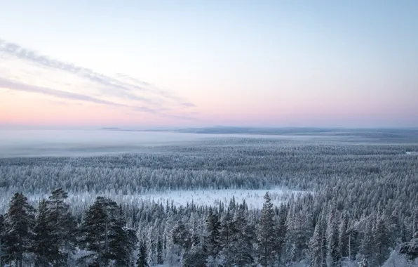 Nature, Sky, Wood, Winter, Landscape, Snow, Trees, Cold