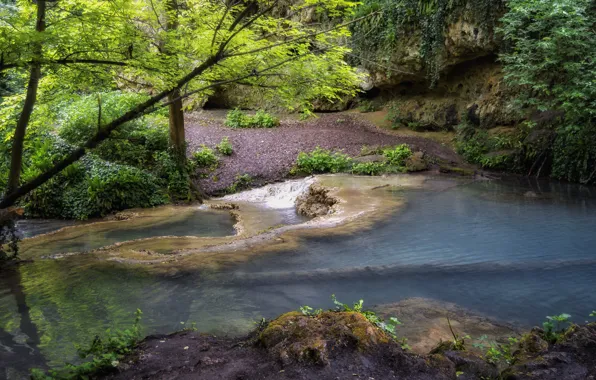 Лес, вода, река, природа nature, Болгария, горная речка