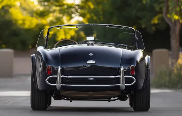 Черный, Shelby, вид сзади, ретро автомобили, 1963, Shelby Cobra, единственный экземпляр, Cobra 289