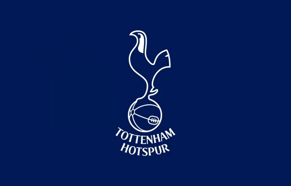 Wallpaper, sport, logo, football, Premier League, England, Tottenham Hotspur