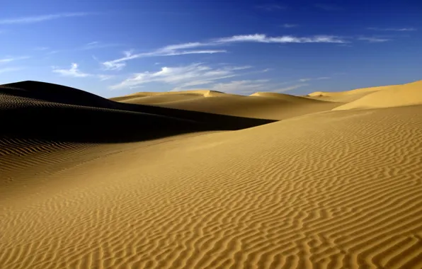 Песок, пустыня, жара
