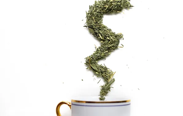 Cup, tea, herbs