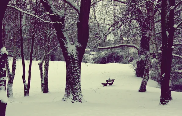 Зима, снег, природа, парк, двор