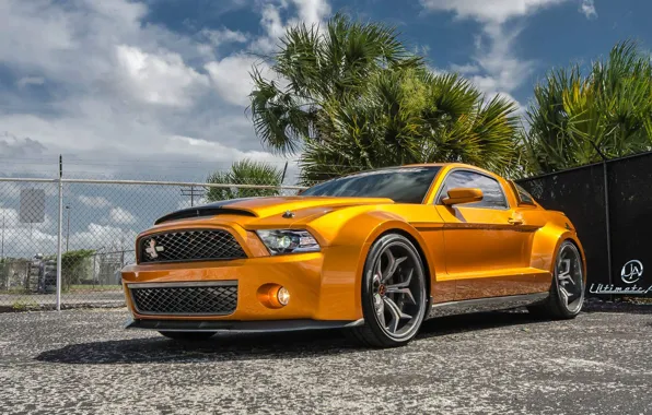 Картинка Mustang, Ford, Shelby, GT500, muscle car, front, orange, Super Snake