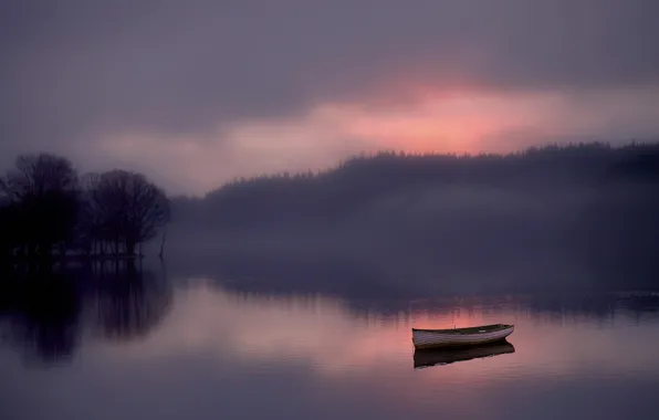 Картинка лес, туман, озеро, рассвет, лодка