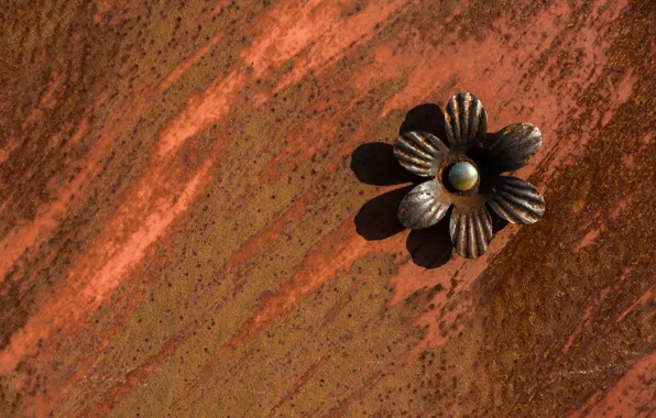 Фон, цвет, текстура