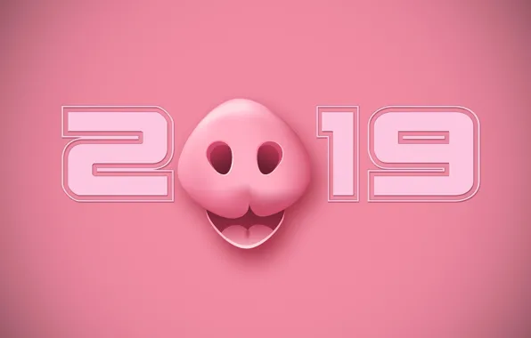 Новый год, пятачок, 2019