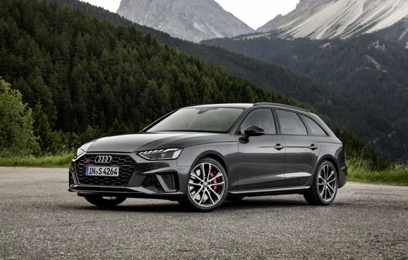 Картинка Audi, универсал, 2019, тёмно-серый, A4 Avant, S4 Avant
