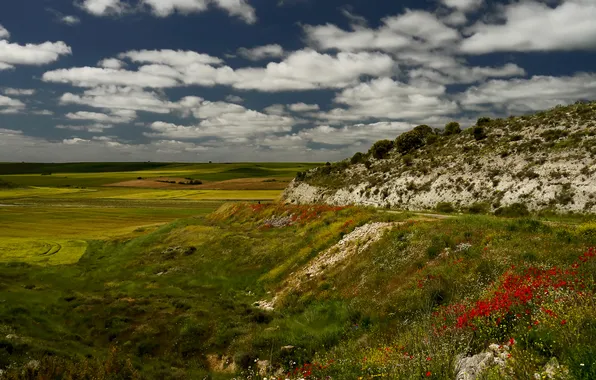 Картинка небо, трава, облака, цветы, скала, холмы, Италия