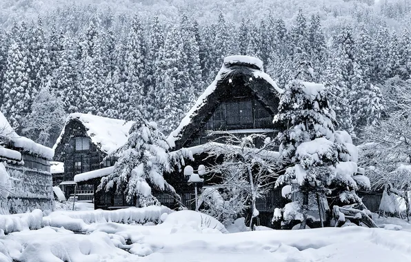 Зима, снег, дом, Япония, остров Хонсю, Гокаяма, Сиракава-го