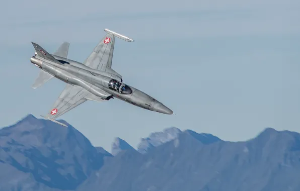 Истребитель, многоцелевой, лёгкий, F5 Tiger