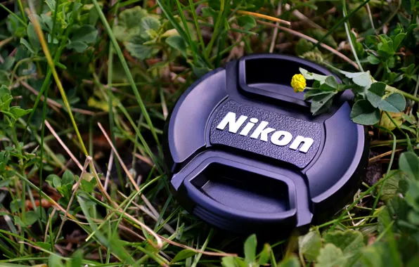 Nikon, Grass, Macro