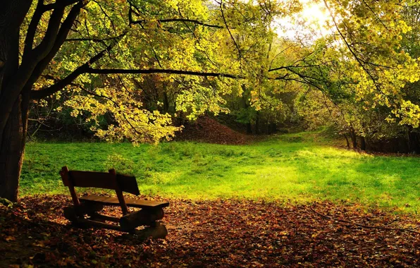 Картинка деревья, скамейка, листва, Осень