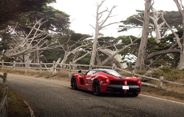 Rear view, Road, LaFerrari, Turn