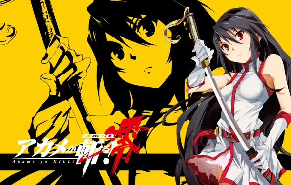 Girl, kill, anime, katana, akame ga