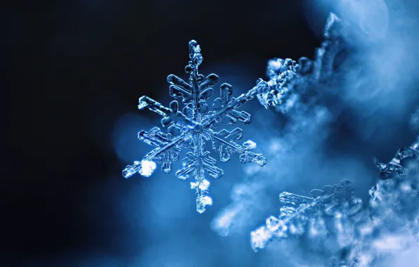 Картинка лед, зима, снежинки, узор