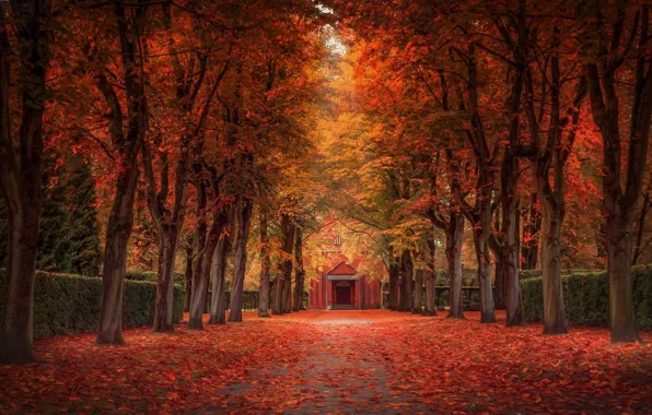 Аллея, листопад, особняк, осенние деревья