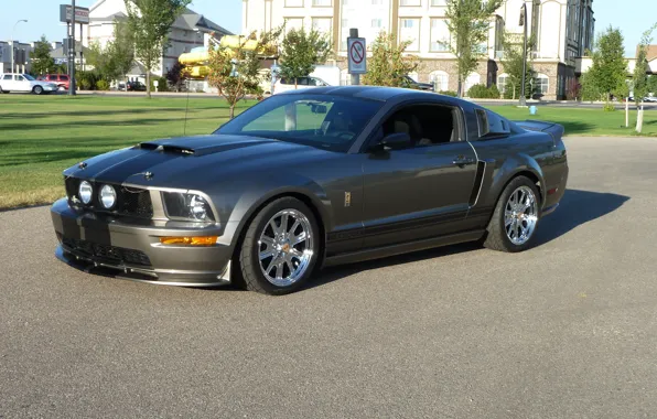 Mustang, Ford, Eleanor, Ford Mustang, Musclecar, Ford Mustang GT