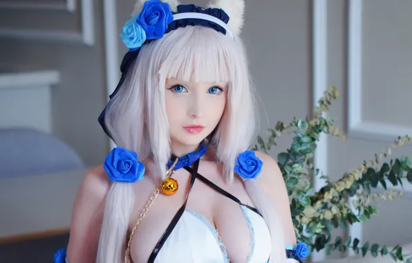 Girl, sexy, cleavage, blouse, long hair, boobs, animal ears, blue eyes