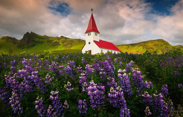 Картинка поле, облака, пейзаж, цветы, горы, природа, деревня, Норвегия