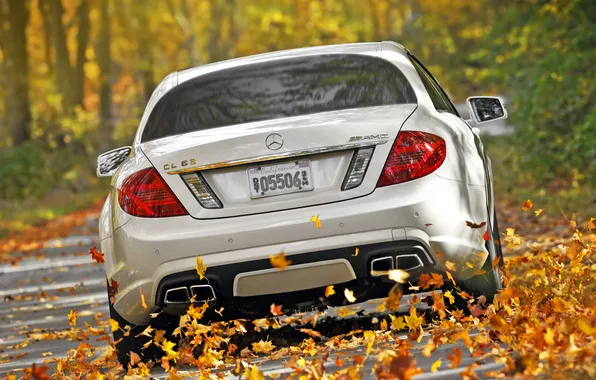 Картинка осень, белый, листья, деревья, Mercedes-Benz, скорость, суперкар, мерседес