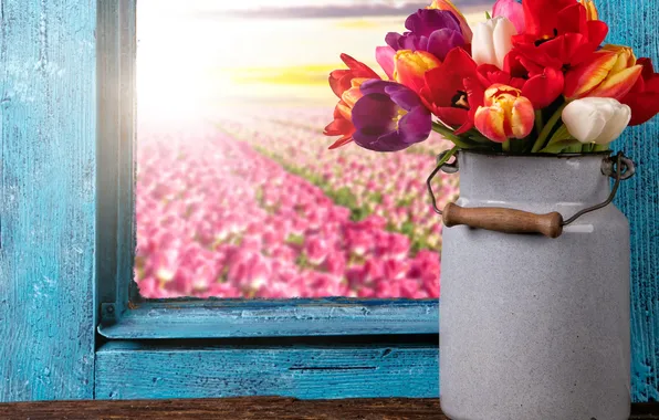 Картинка colorful, окно, тюльпаны, flowers, tulips, window, bouquet