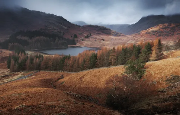 Картинка осень, деревья, горы, холмы
