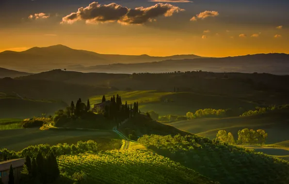 Картинка горы, дом, холмы, сад, Италия, виноградник, Тоскана