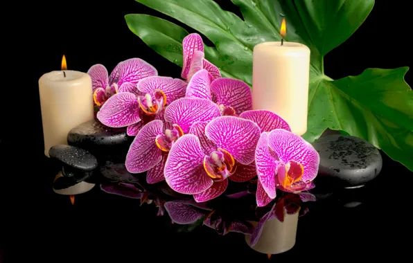 Картинка капли, цветы, листок, свечи, орхидеи, спа камни