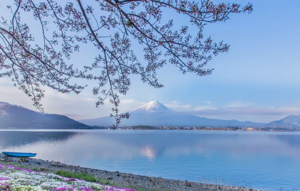 Картинка цветы, ветки, озеро, лодка, гора, вулкан, Япония, Фудзи