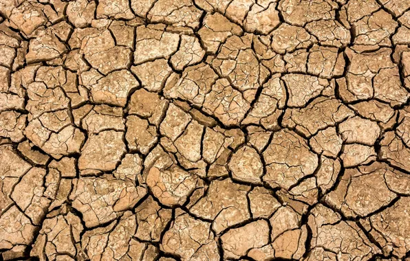 Earth, soil, agriculture