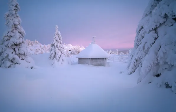Картинка зима, снег, деревья, избушка, ели, сугробы, хижина, Андрей Базанов