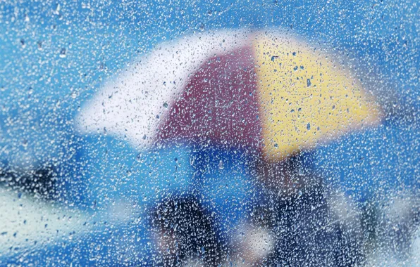 Картинка glass, rain, umbrella