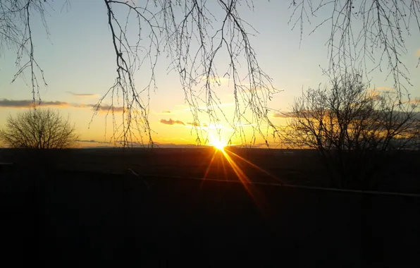 Sun, dereva, neba, zakat